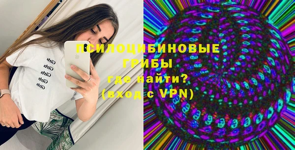 гидропоника Абаза