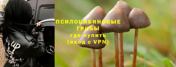 сатива Абинск