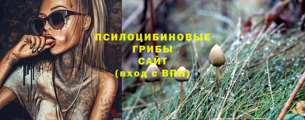 индика Абдулино