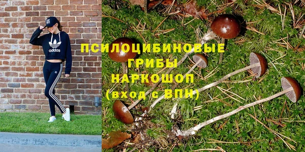 индика Абдулино