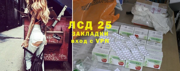 сатива Абинск