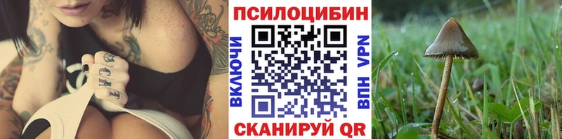 Псилоцибиновые грибы ЛСД  Талдом 